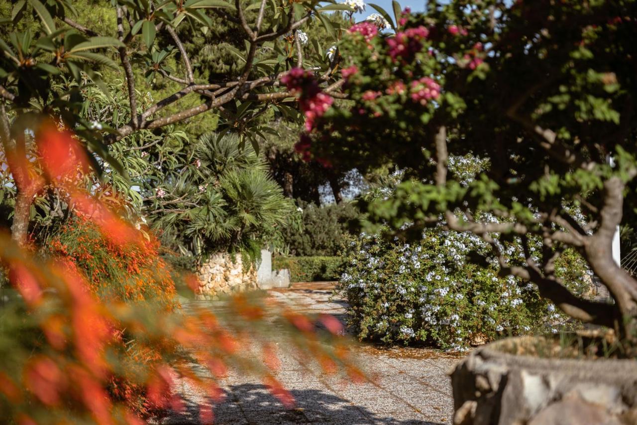 Apartamento Giardino Dell'Impossibile Di Antonino Campo Favignana Exterior foto