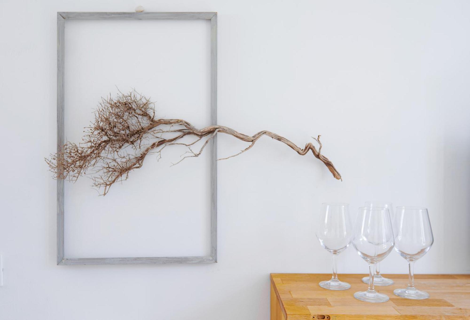 Apartamento Giardino Dell'Impossibile Di Antonino Campo Favignana Exterior foto