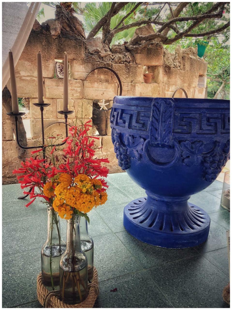 Apartamento Giardino Dell'Impossibile Di Antonino Campo Favignana Exterior foto