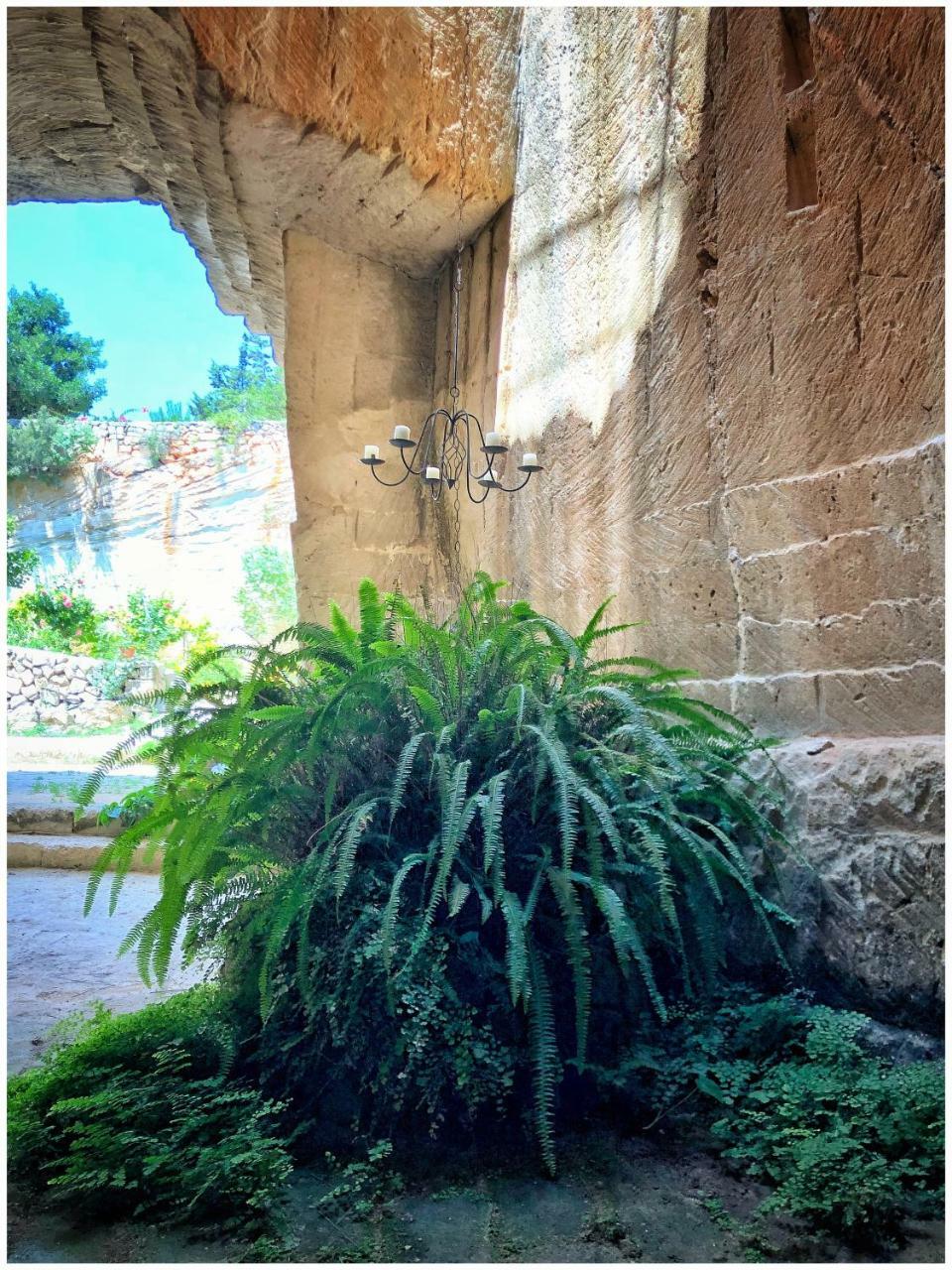 Apartamento Giardino Dell'Impossibile Di Antonino Campo Favignana Exterior foto